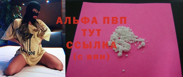 сатива Горнозаводск