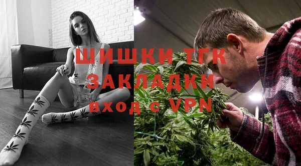 сатива Горнозаводск