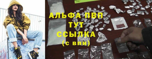 сатива Горнозаводск