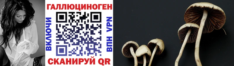 Купить закладки  Кораблино  Галлюциногенные грибы мицелий 